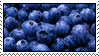 blueberries_orig.png