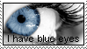 butonek-i-have-blue-eys_orig.png